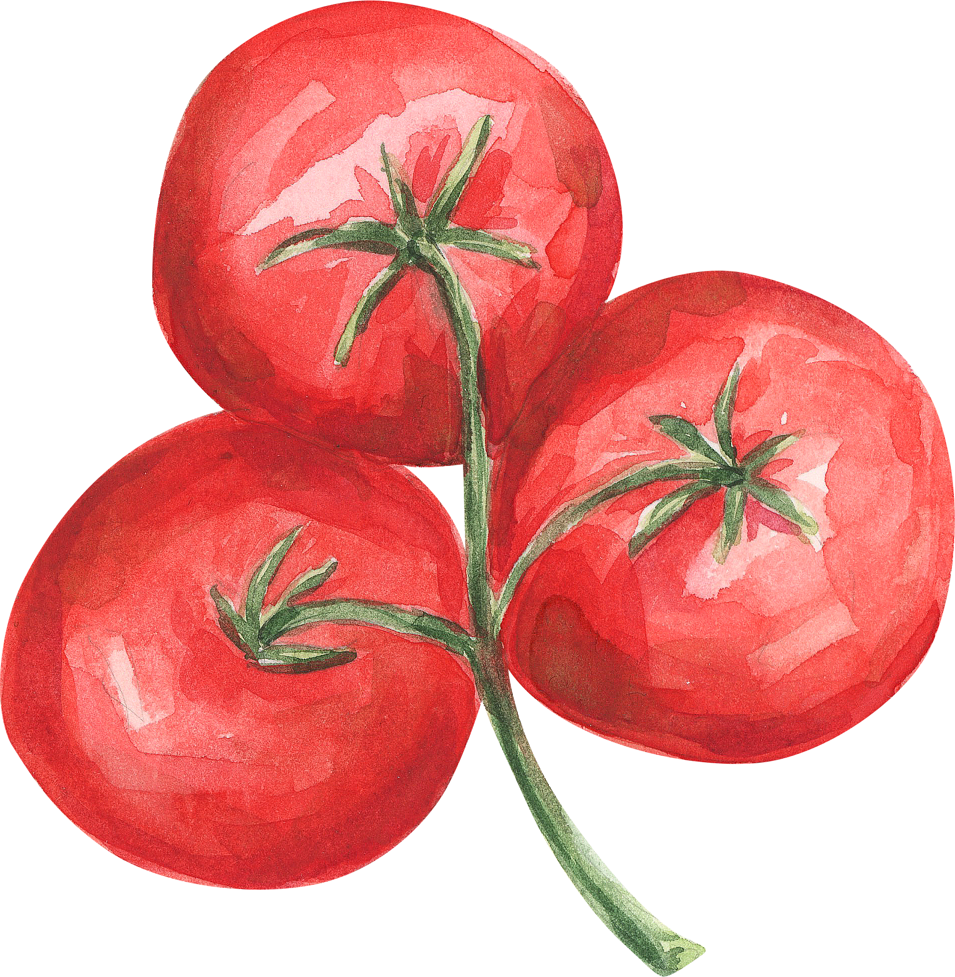 Tomatos